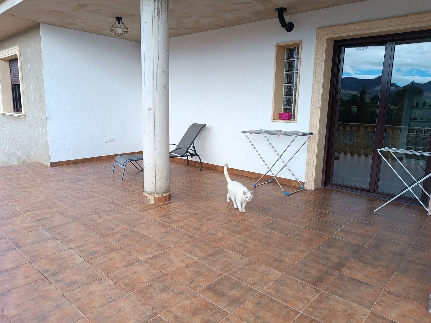 Garden in villa for sale in Yecla