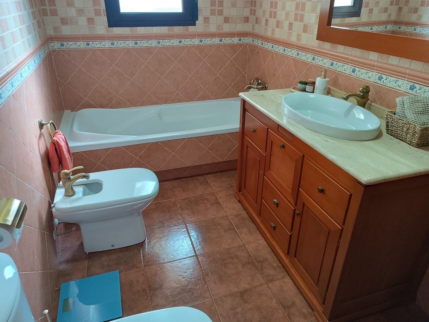 Garden in villa for sale in Yecla