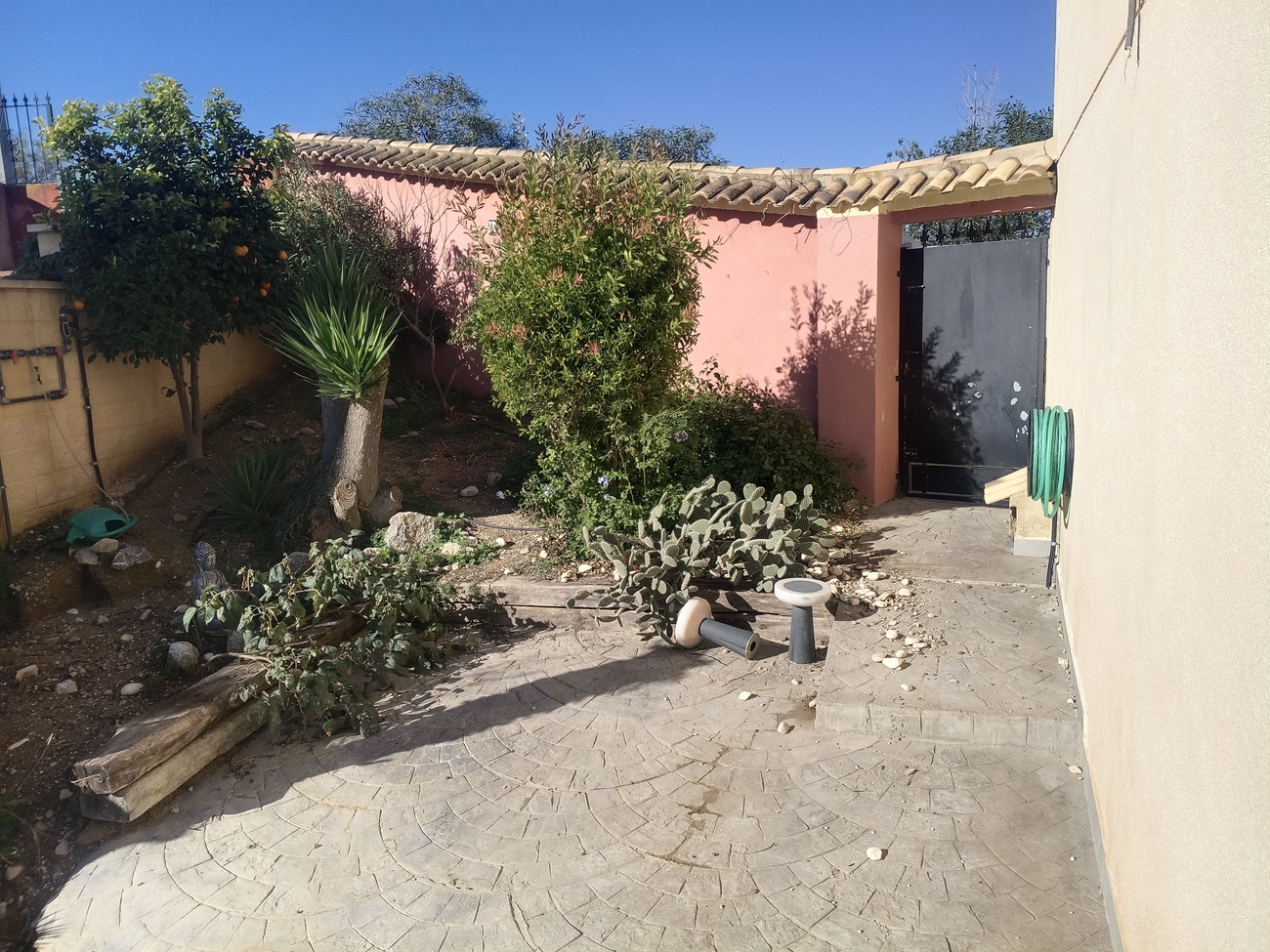 Garden in villa for sale in Canadas De San Pedro