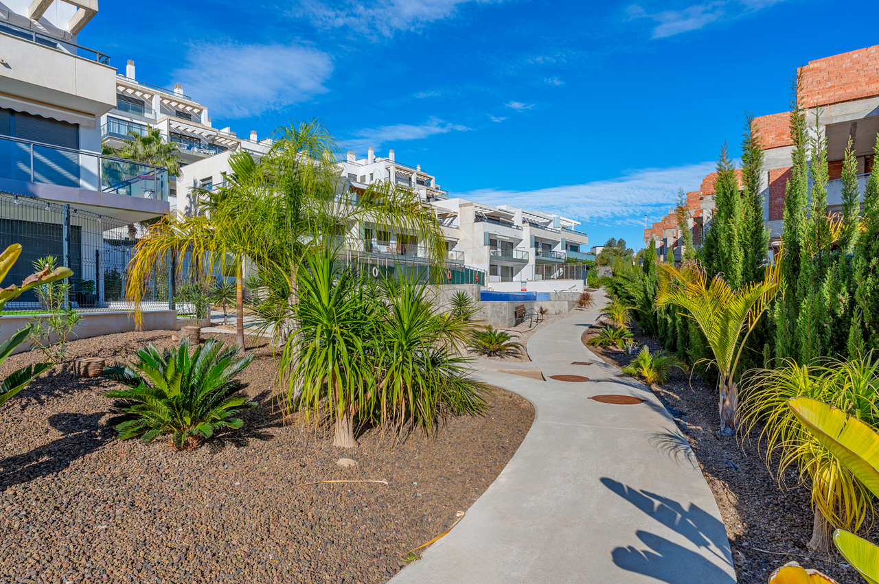 Pool area in apartment for sale in Campoamor