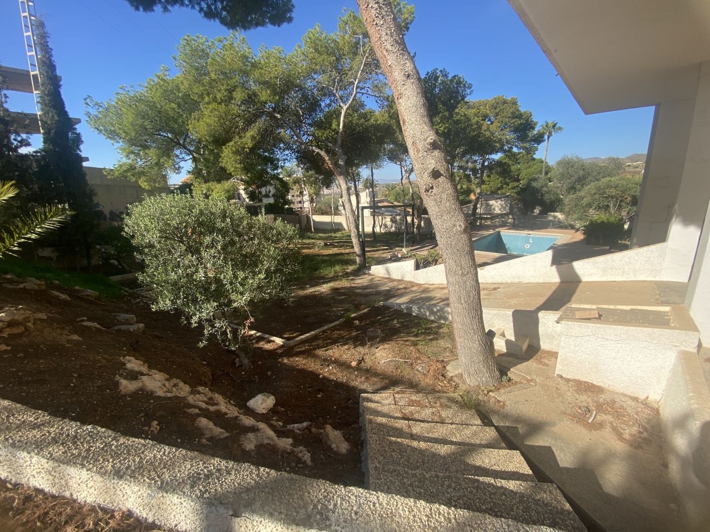 Garden in villa for sale in Cartagena