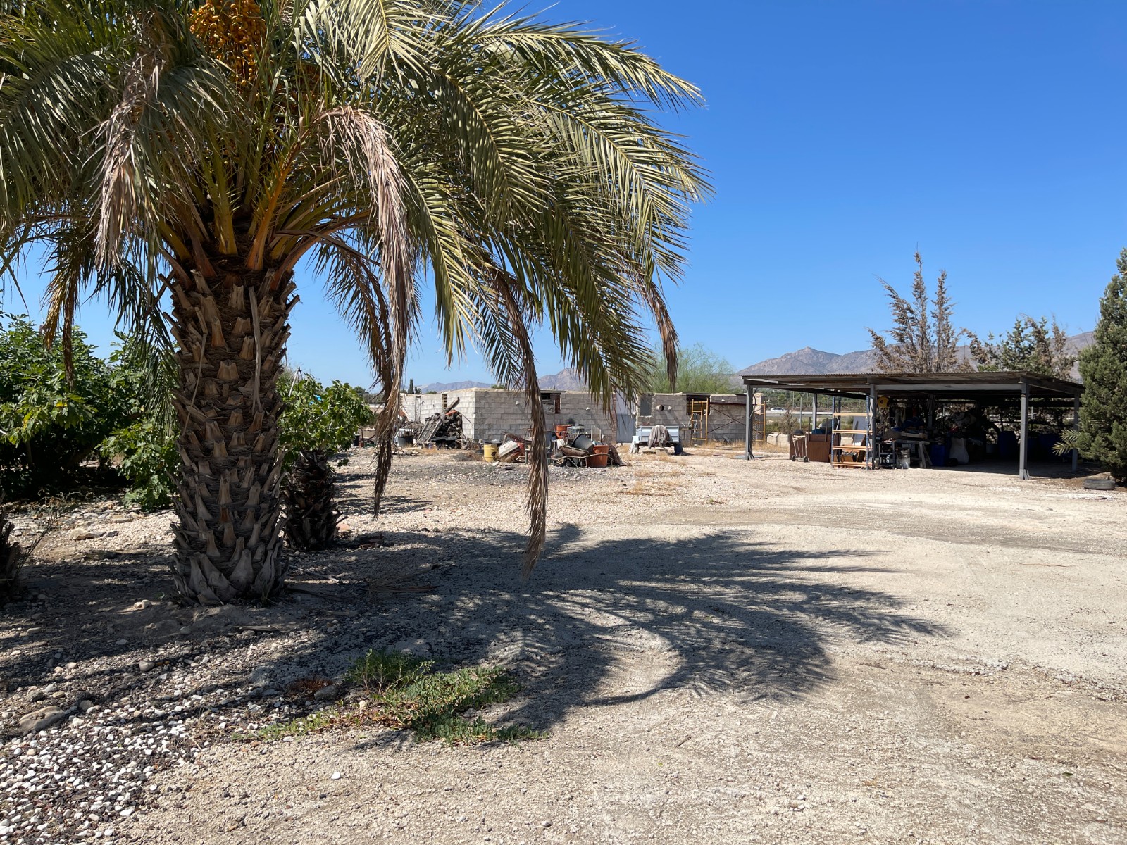 Terrace in villa for sale in Crevillent