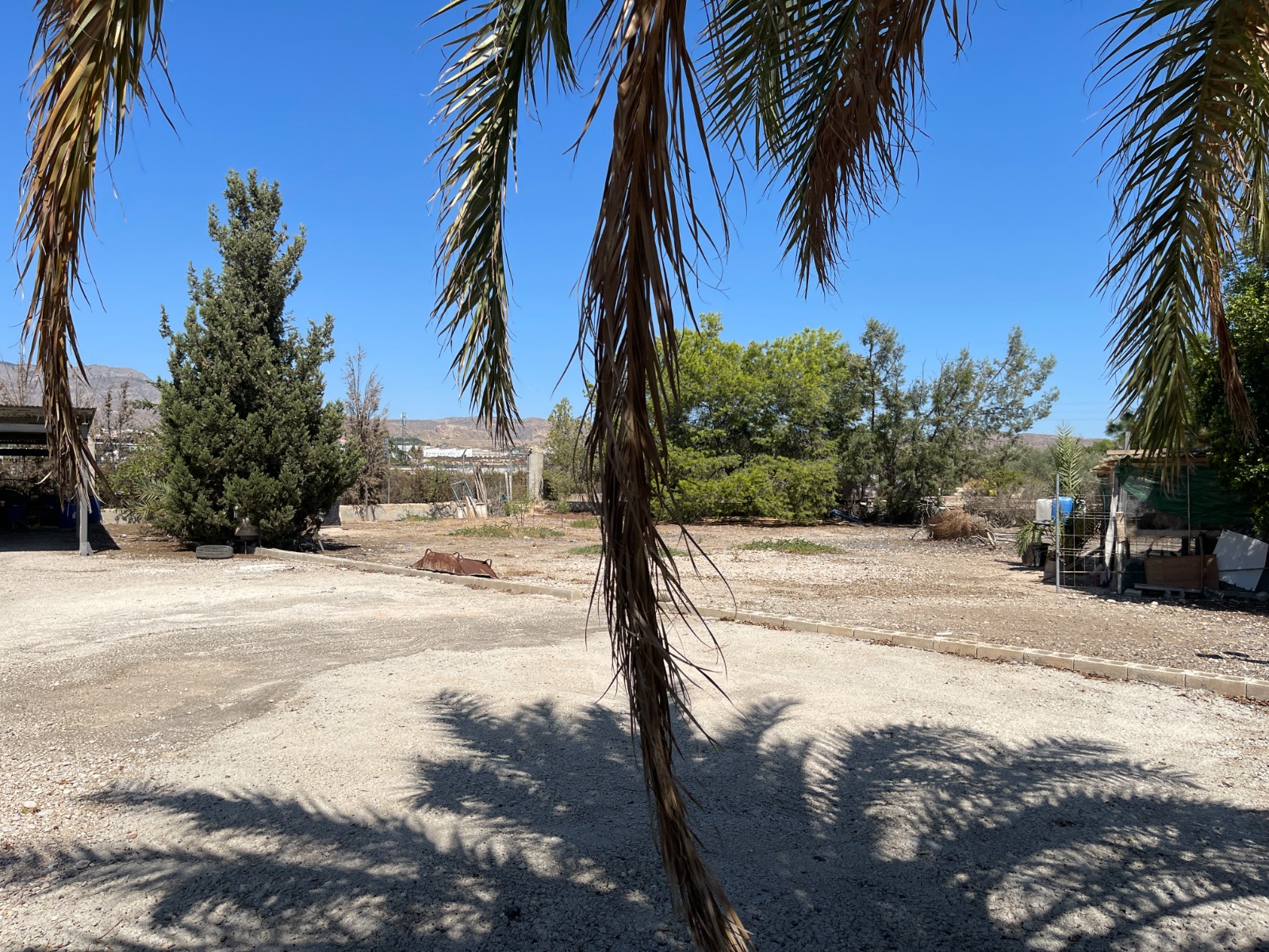 Pool area in villa for sale in Crevillent