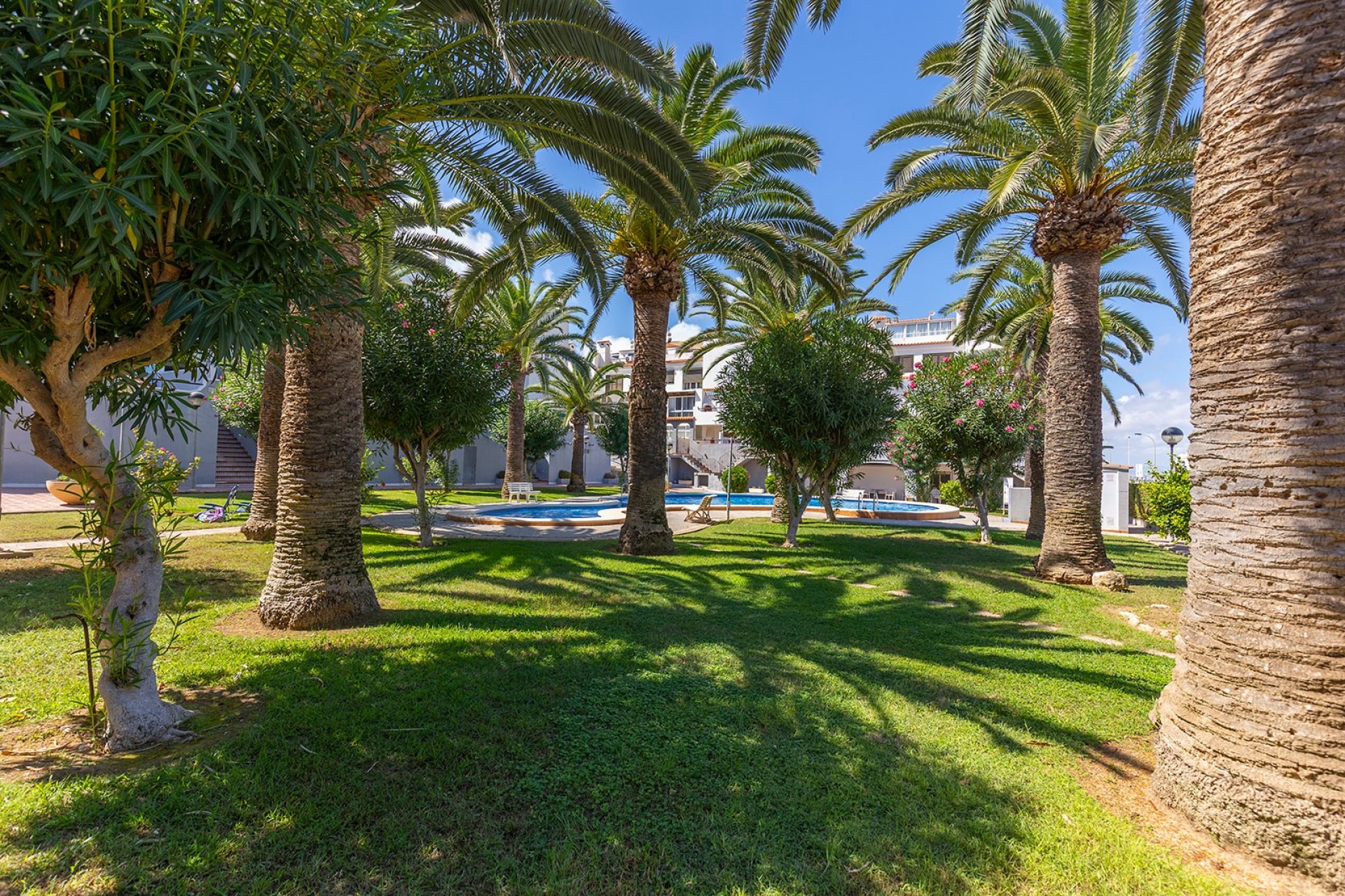 Dining area in apartment for sale in La Mata