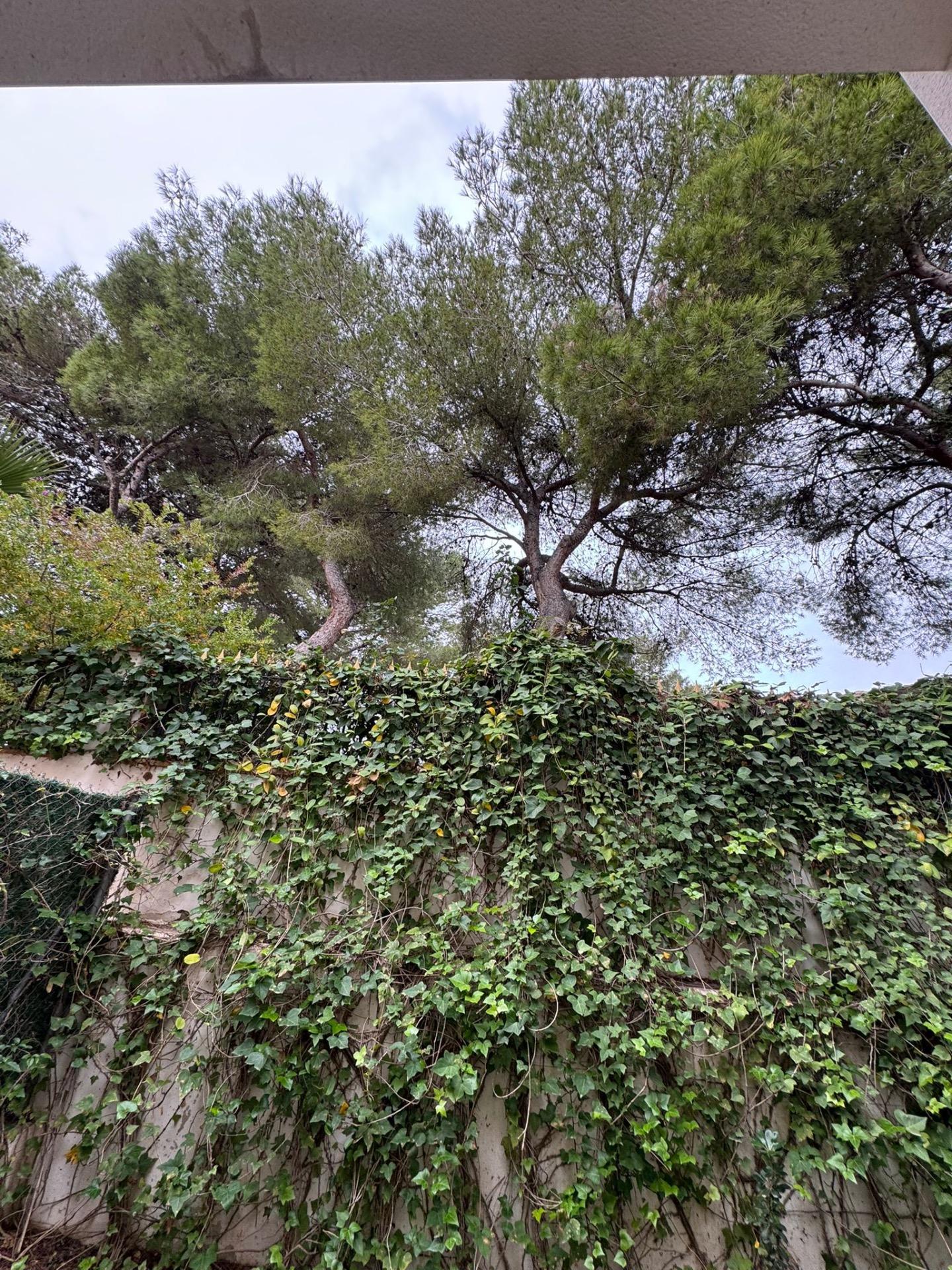 Discover this charming semi-detached villa located in the desirable Punta Prima area of Torrevieja