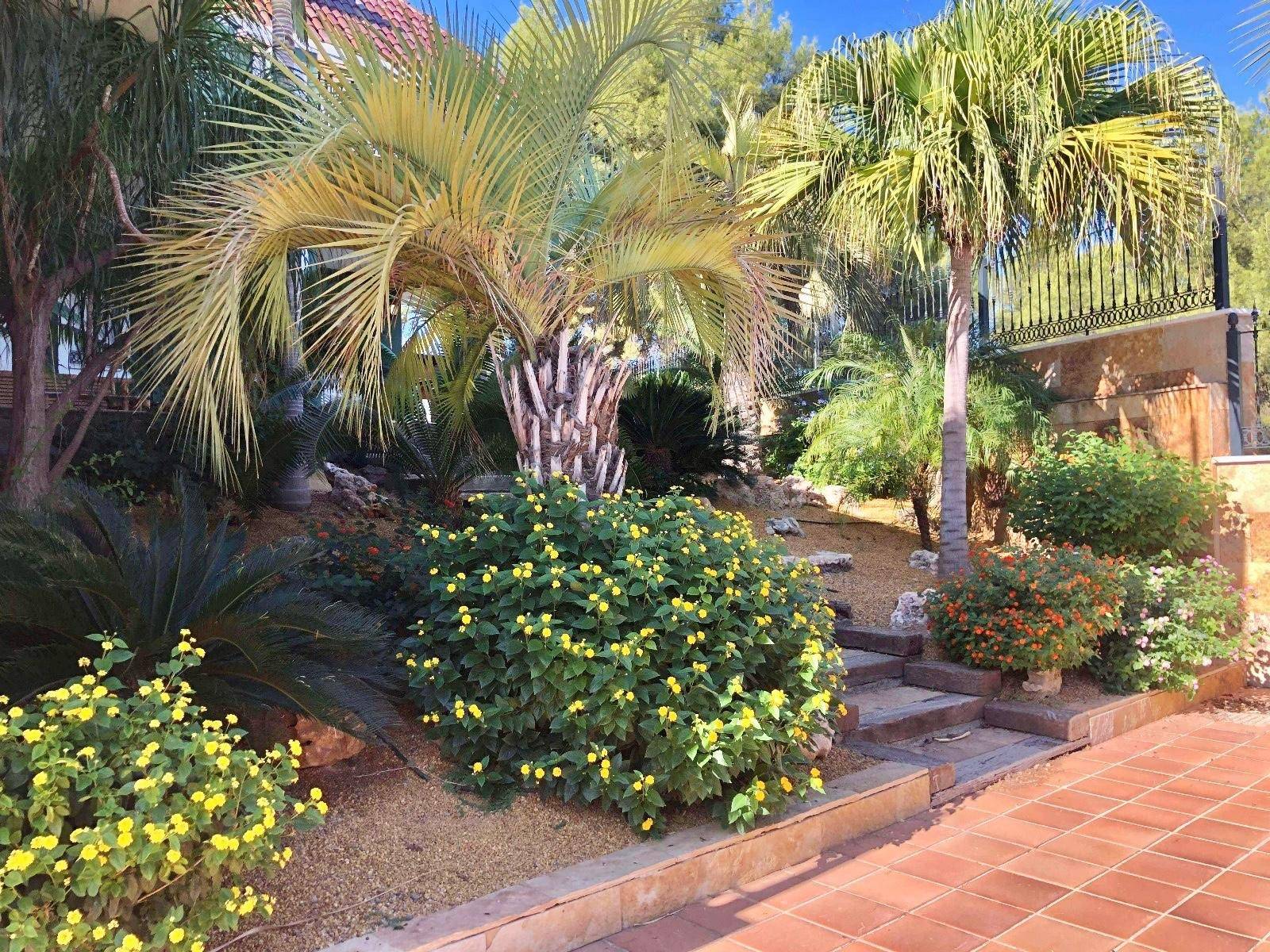 Pool area in villa for sale in El Palmar