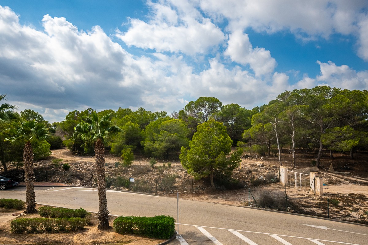 Bedroom in apartment for sale in Algorfa