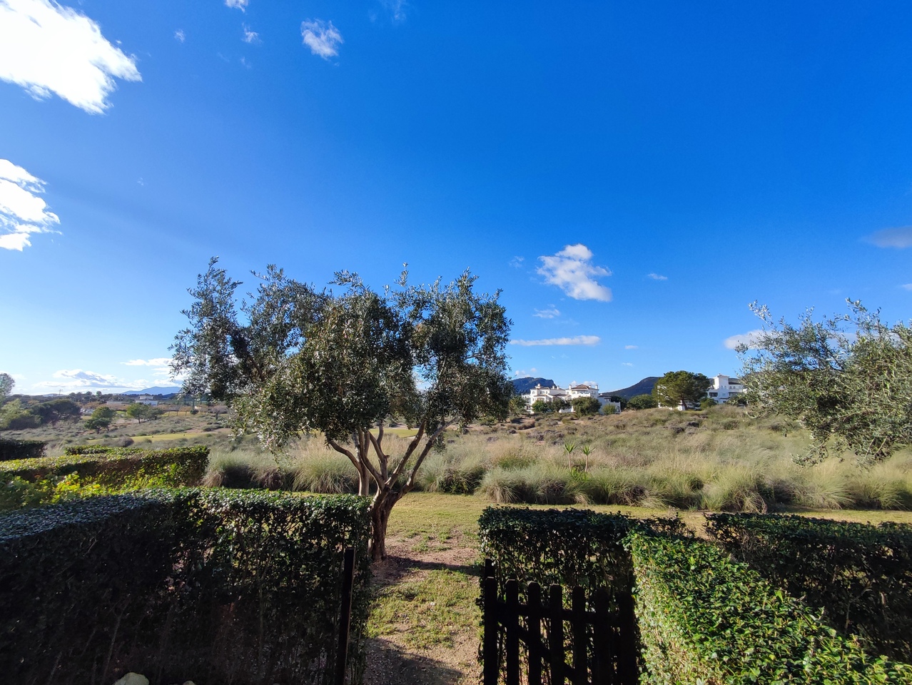 Terrace in apartment for sale in Hacienda Riquelme Golf Resort