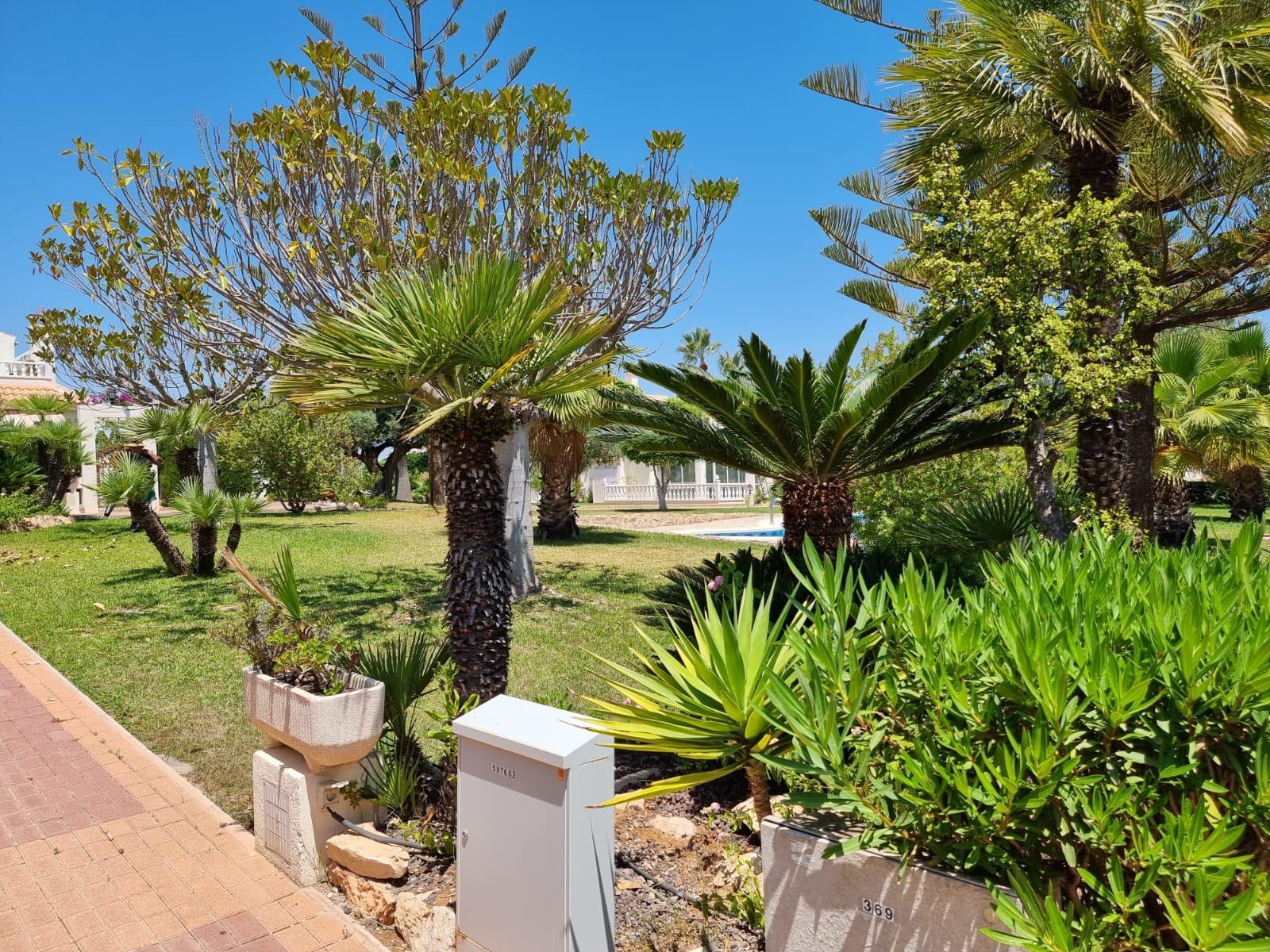 Pool area in apartment for sale in Torrevieja