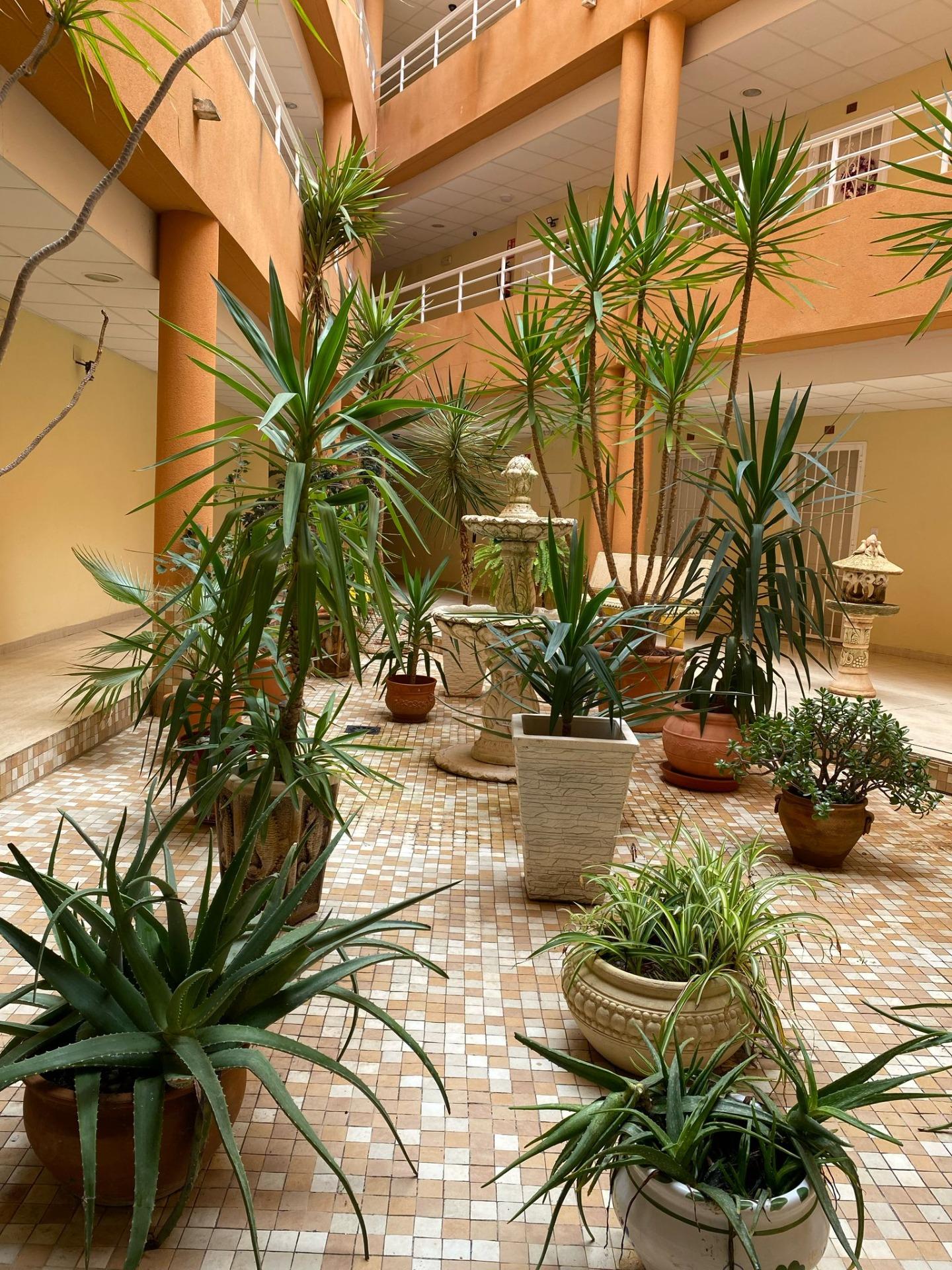 Living room in apartment for sale in San Miguel de Salinas