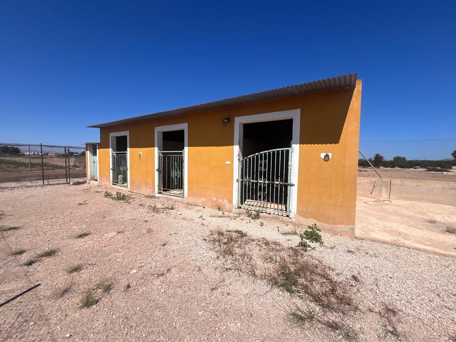 Kitchen in finca for sale in Daya Nueva