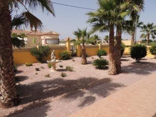 Exterior view in villa for sale in Catral