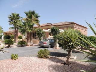 Garden in villa for sale in Catral