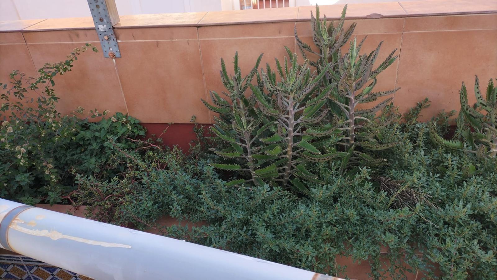 Bathroom in apartment for sale in Torrevieja
