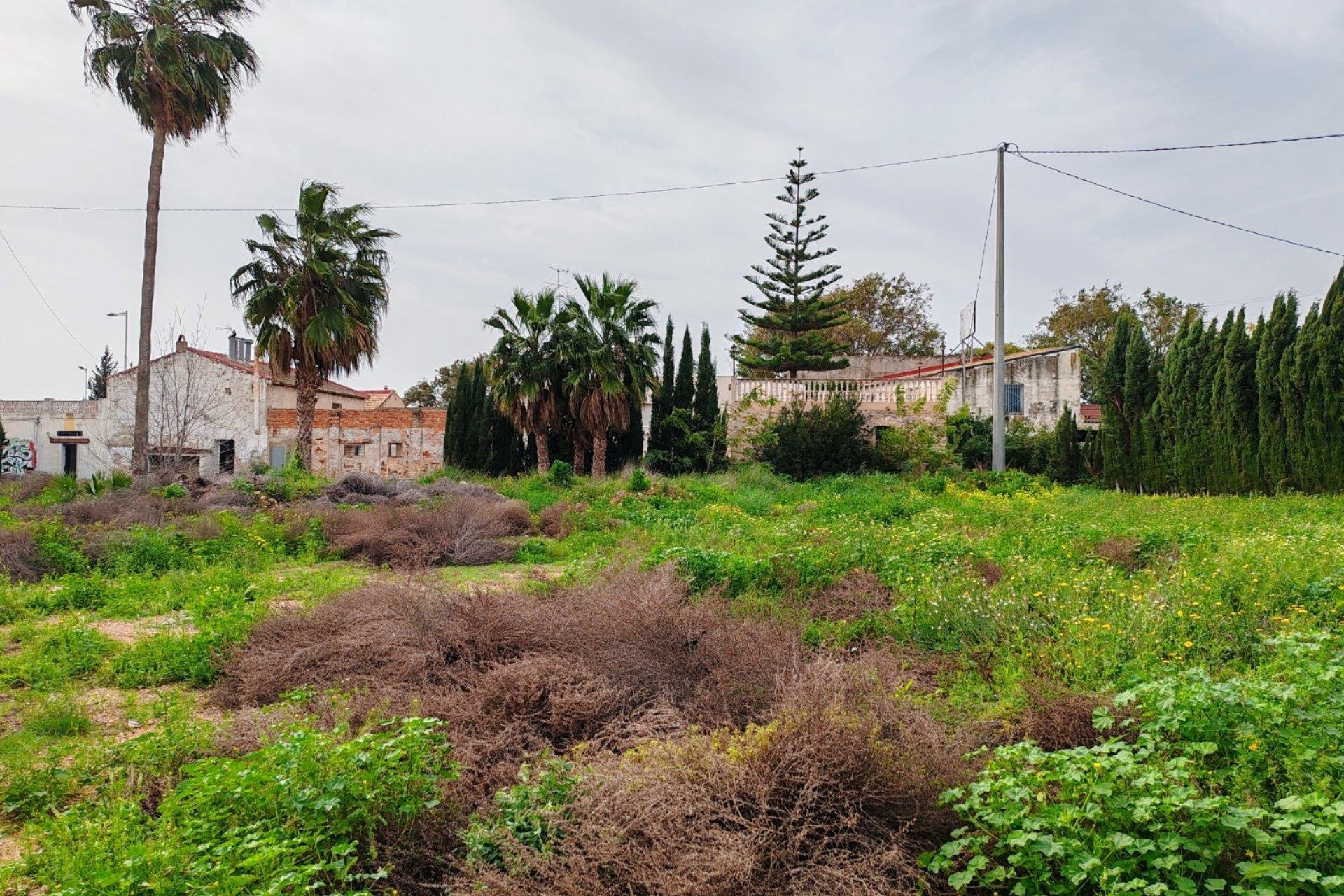 Pool area in land for sale in Orihuela