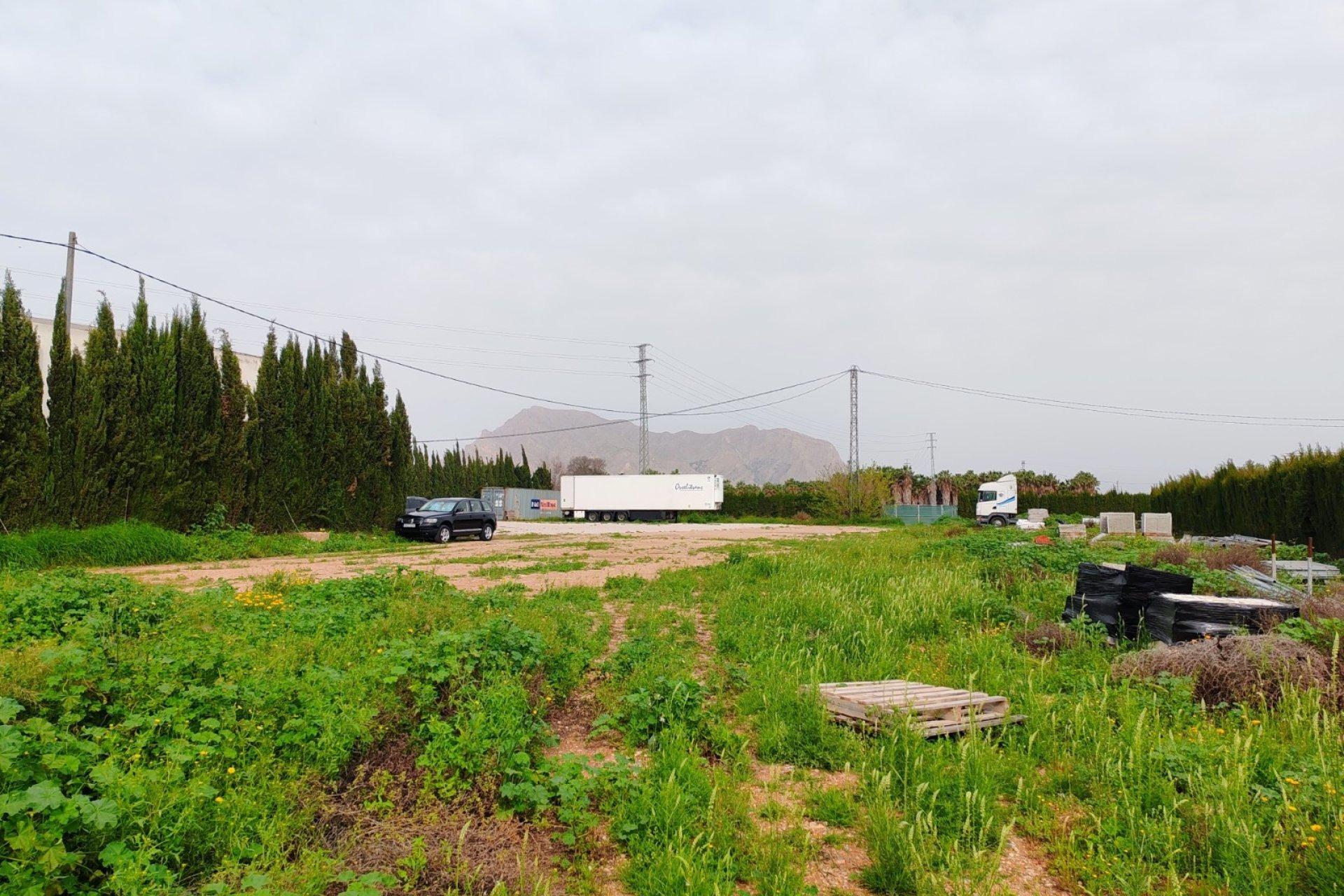 Garden in land for sale in Orihuela