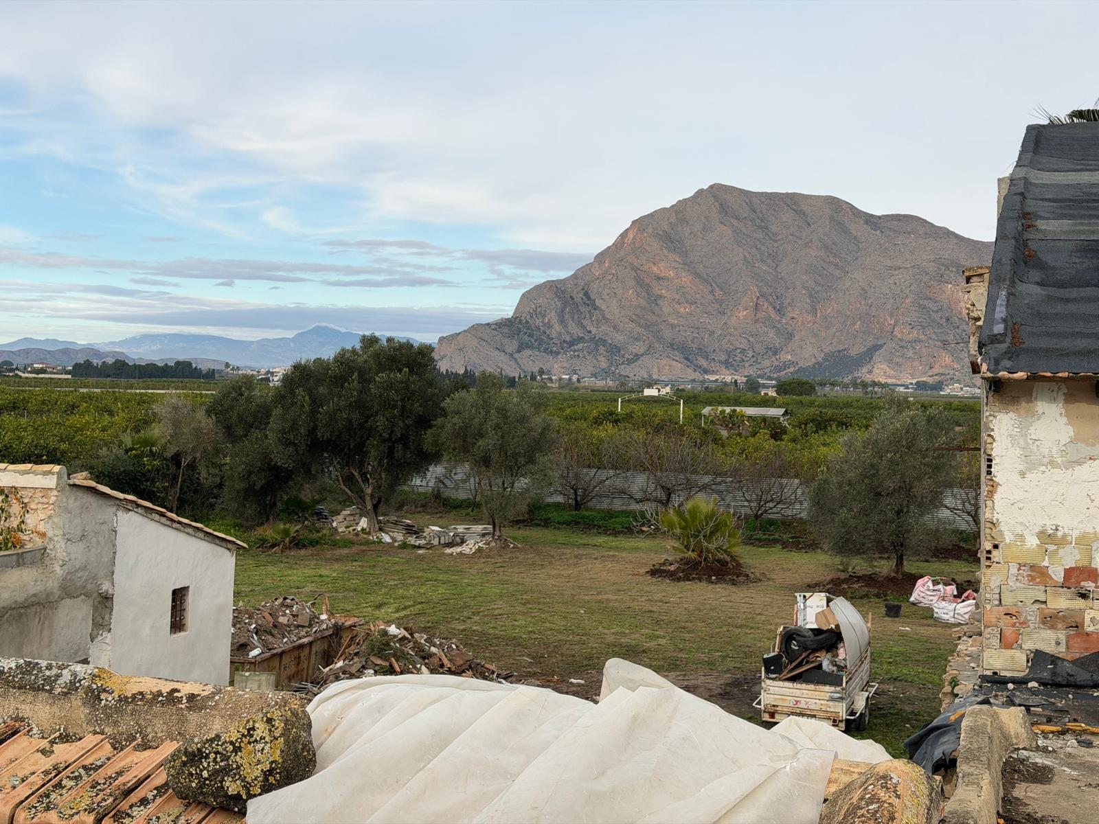 Garden in finca for sale in Orihuela