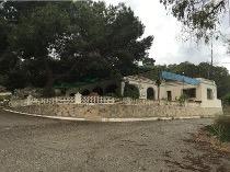 Garden in land for sale in Orihuela