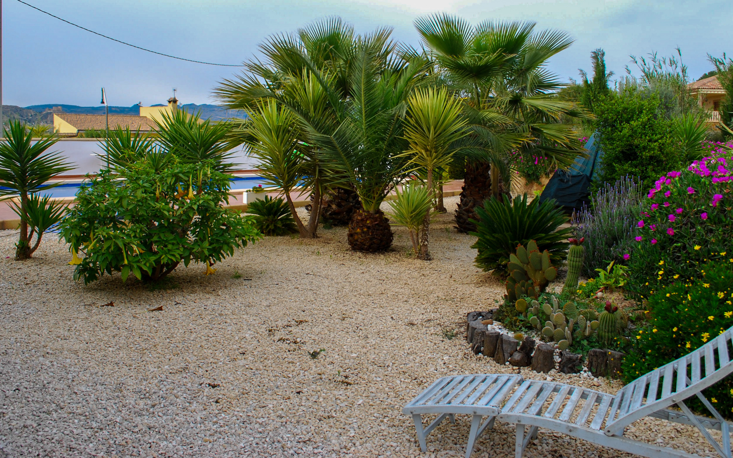 Pool area in villa for sale in Pliego