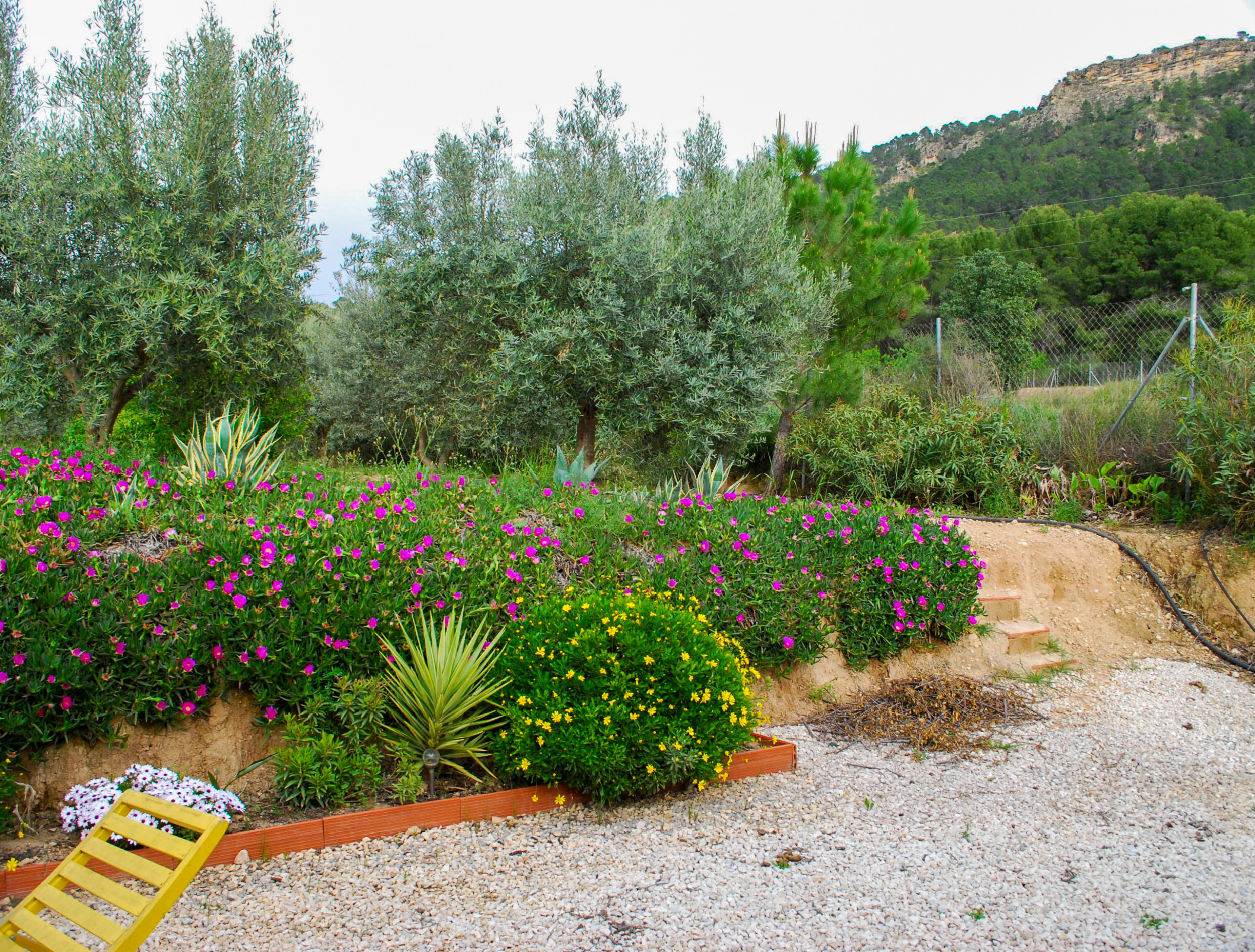 Garden in villa for sale in Pliego