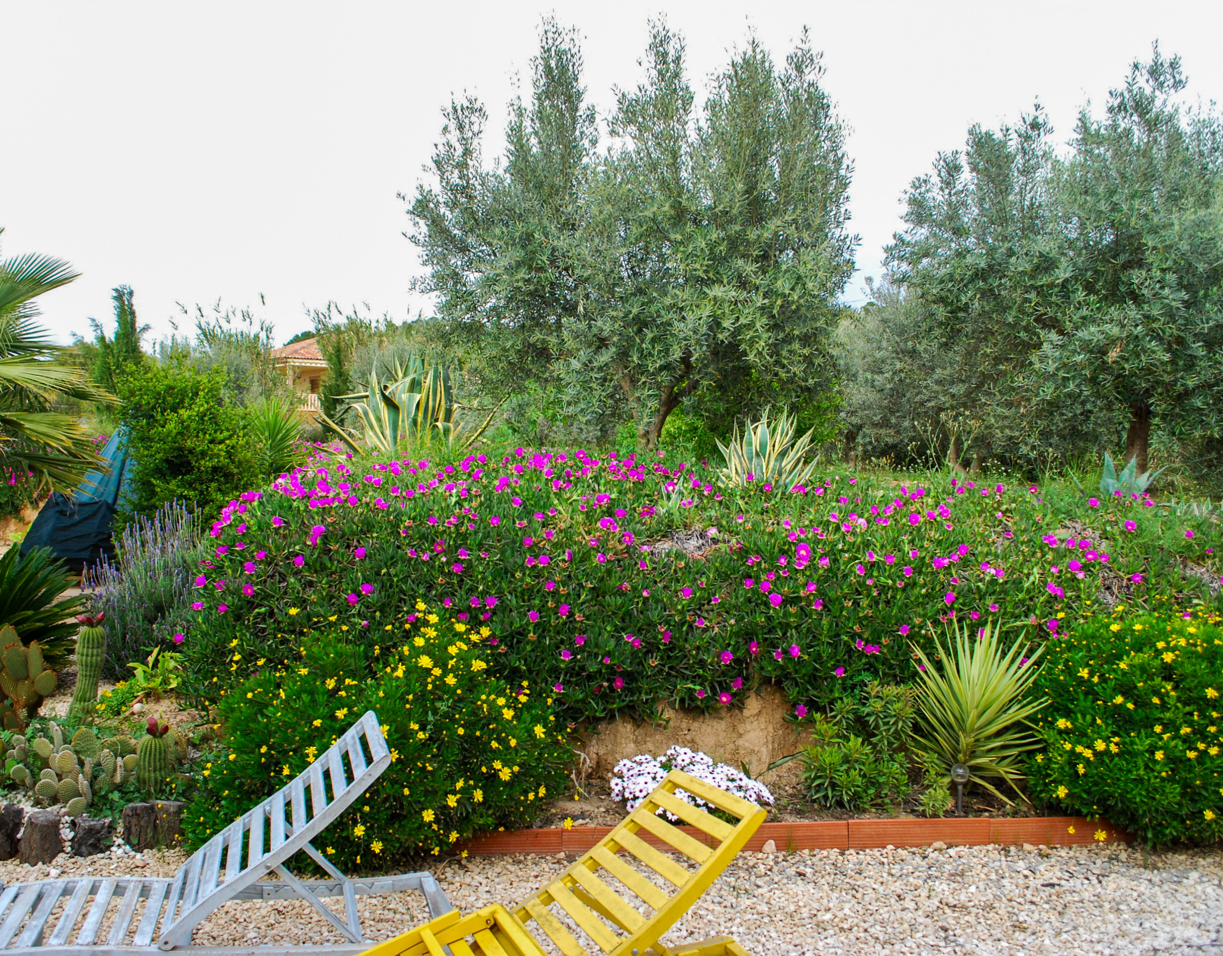 Dining area in villa for sale in Pliego