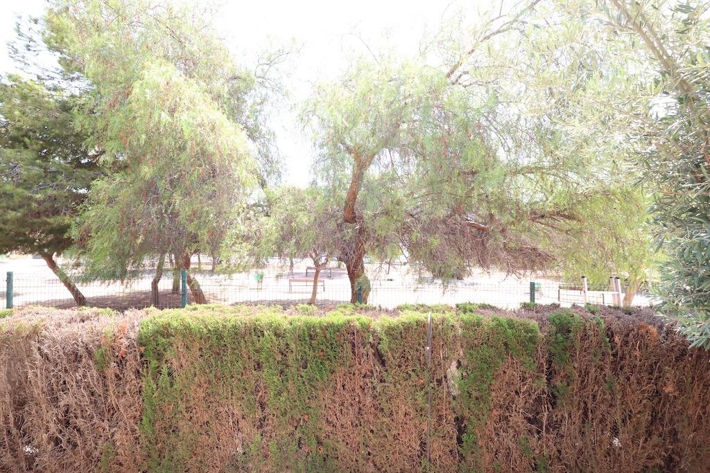 Garden in bungalow for sale in Orihuela Costa