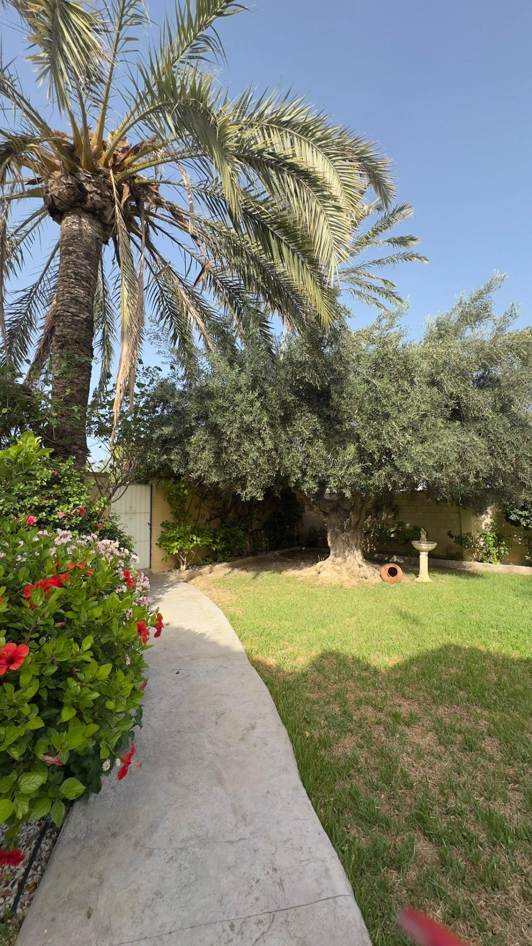 Exterior view in villa for sale in Orihuela Costa
