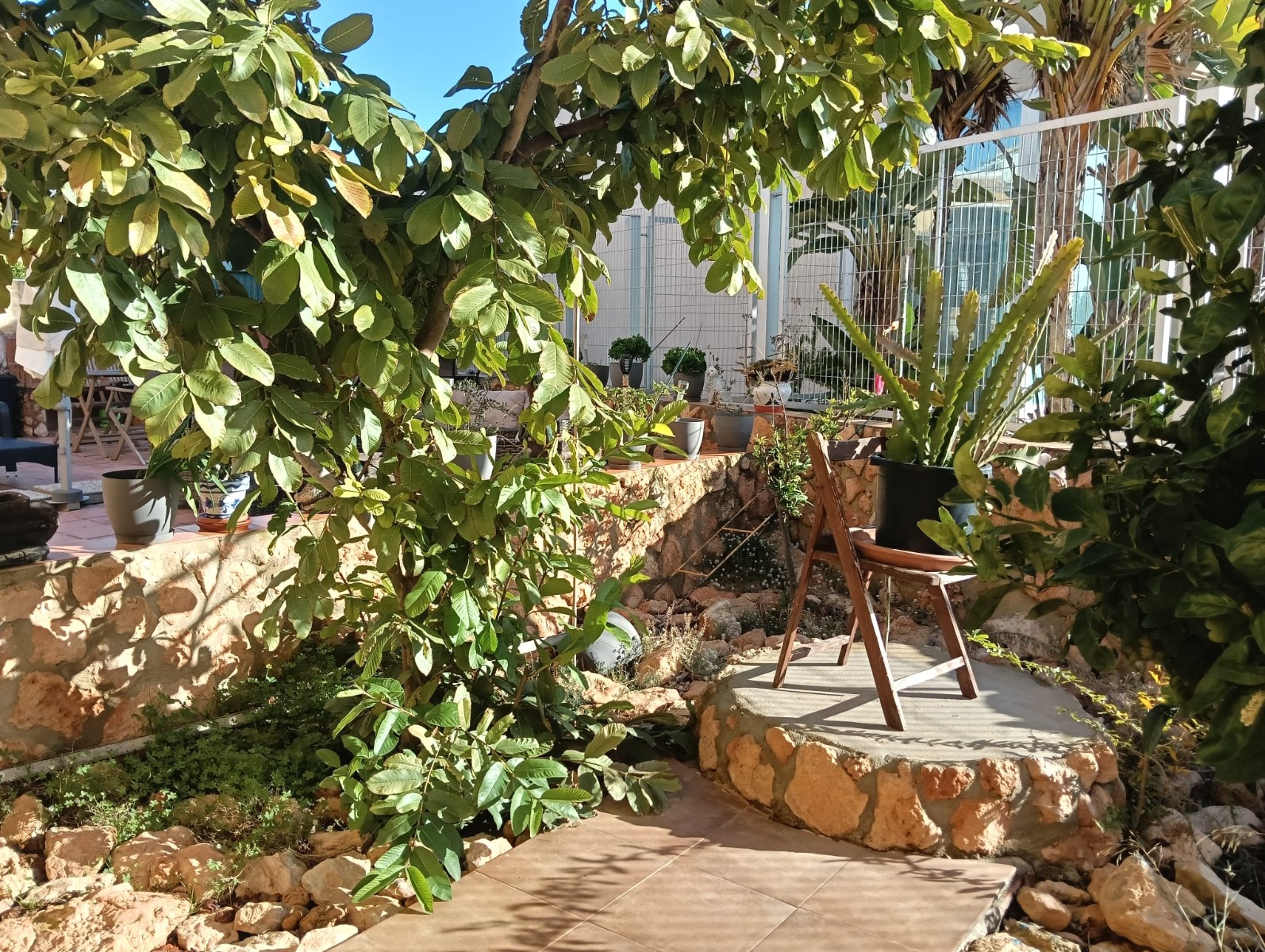 Garden in apartment for sale in Los Montesinos