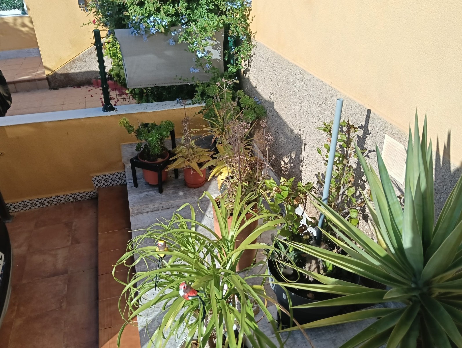 Charming ground-floor apartment in Los Montesinos, a quiet and easily accessible neighborhood, perfe