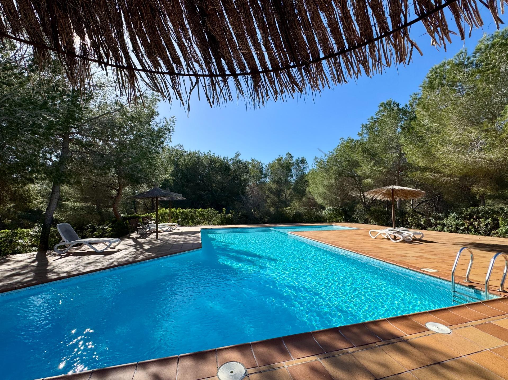 Pool area in villa for sale in Orihuela