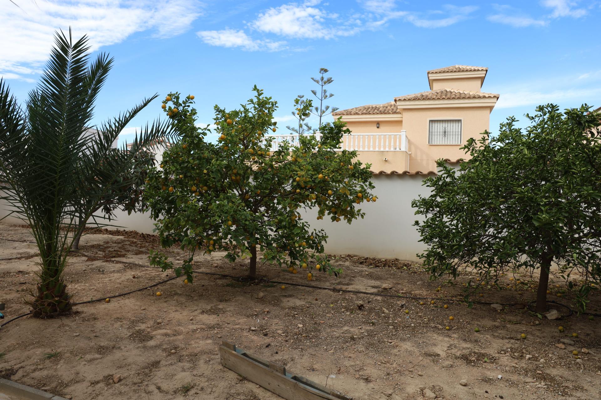 Kitchen in villa for sale in Ciudad Quesada