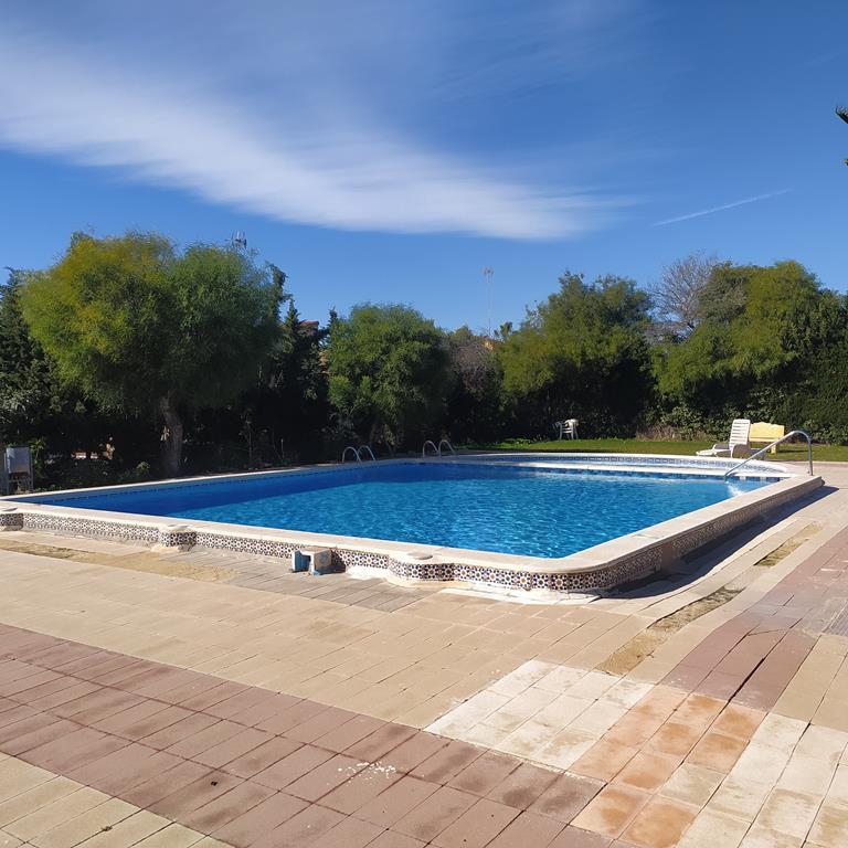 Pool area in apartment for sale in Torrevieja