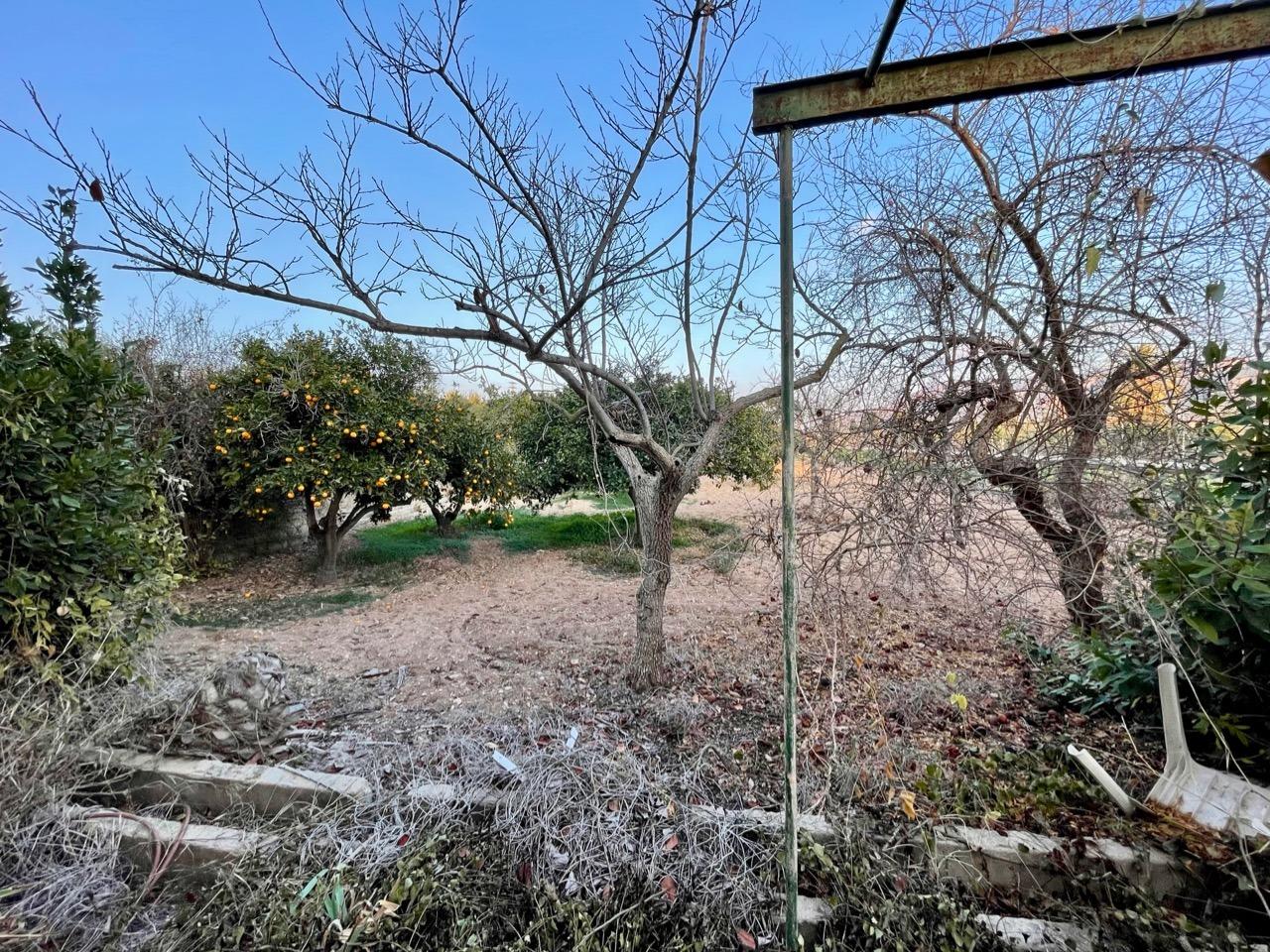 Garden in villa for sale in Benidorm