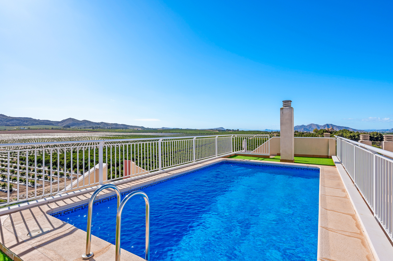Pool area in apartment for sale in Algorfa