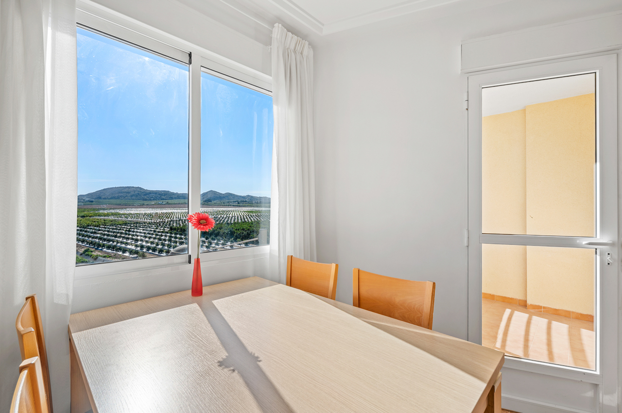 Pool area in apartment for sale in Algorfa