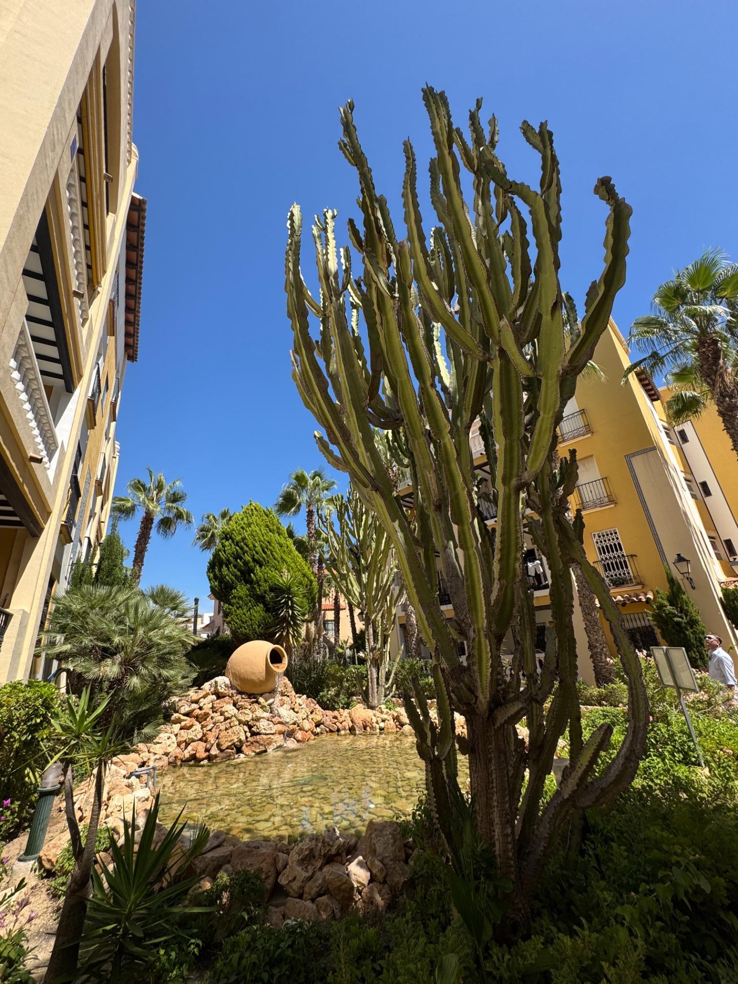 Garden in penthouse for sale in Torrevieja