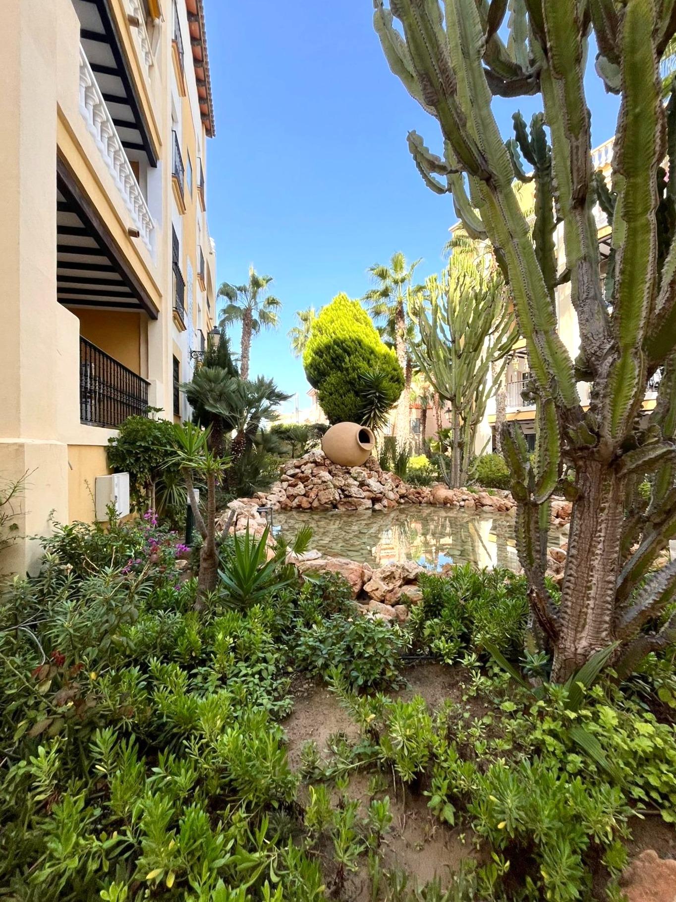 Pool area in penthouse for sale in Torrevieja