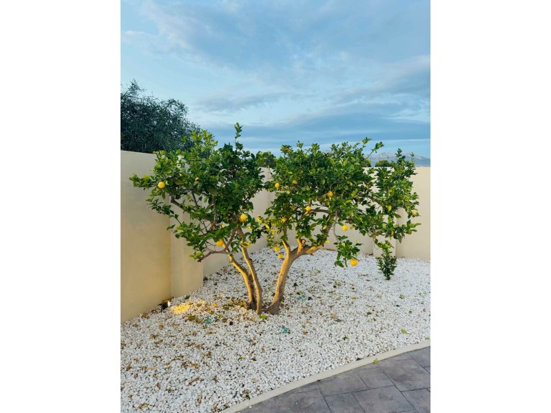 Living room in villa for sale in Alfas del Pi