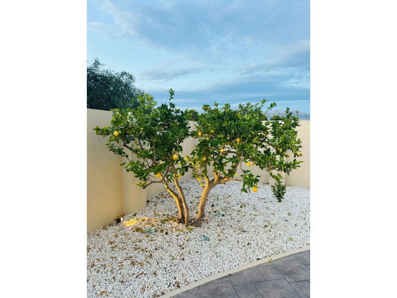 Master bedroom in villa for sale in Alfas del Pi