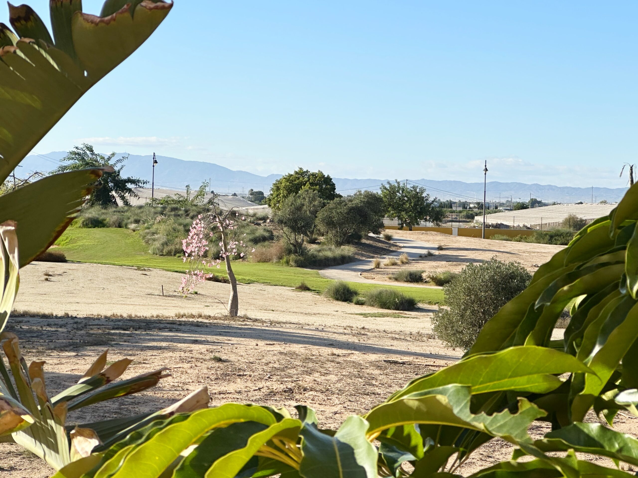 Living room in apartment for sale in Mar Menor Golf Resort