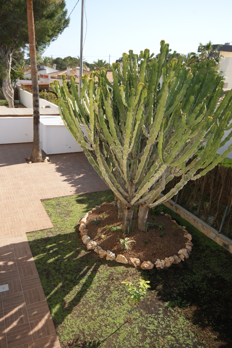Bedroom in villa for sale in Cabo Roig