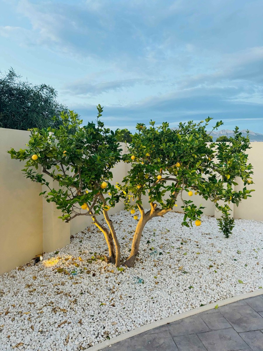 Living room in villa for sale in Alfas del Pi