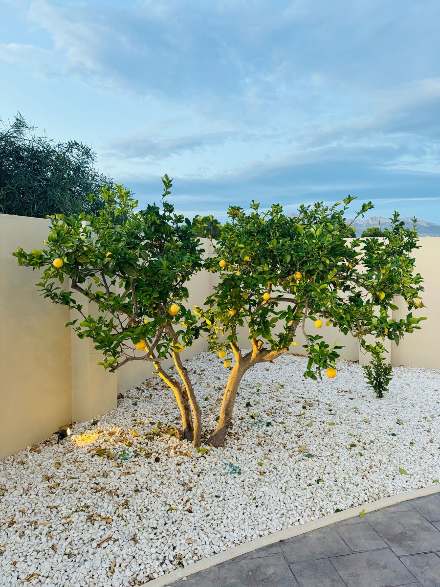 Master bedroom in villa for sale in Alfas del Pi