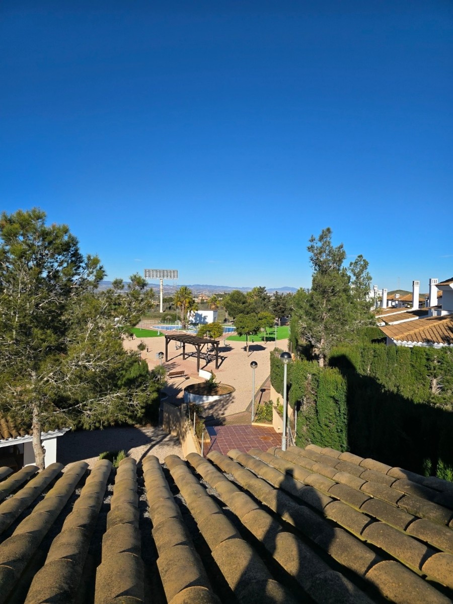 Pool area in villa for sale in Fuente Alamo