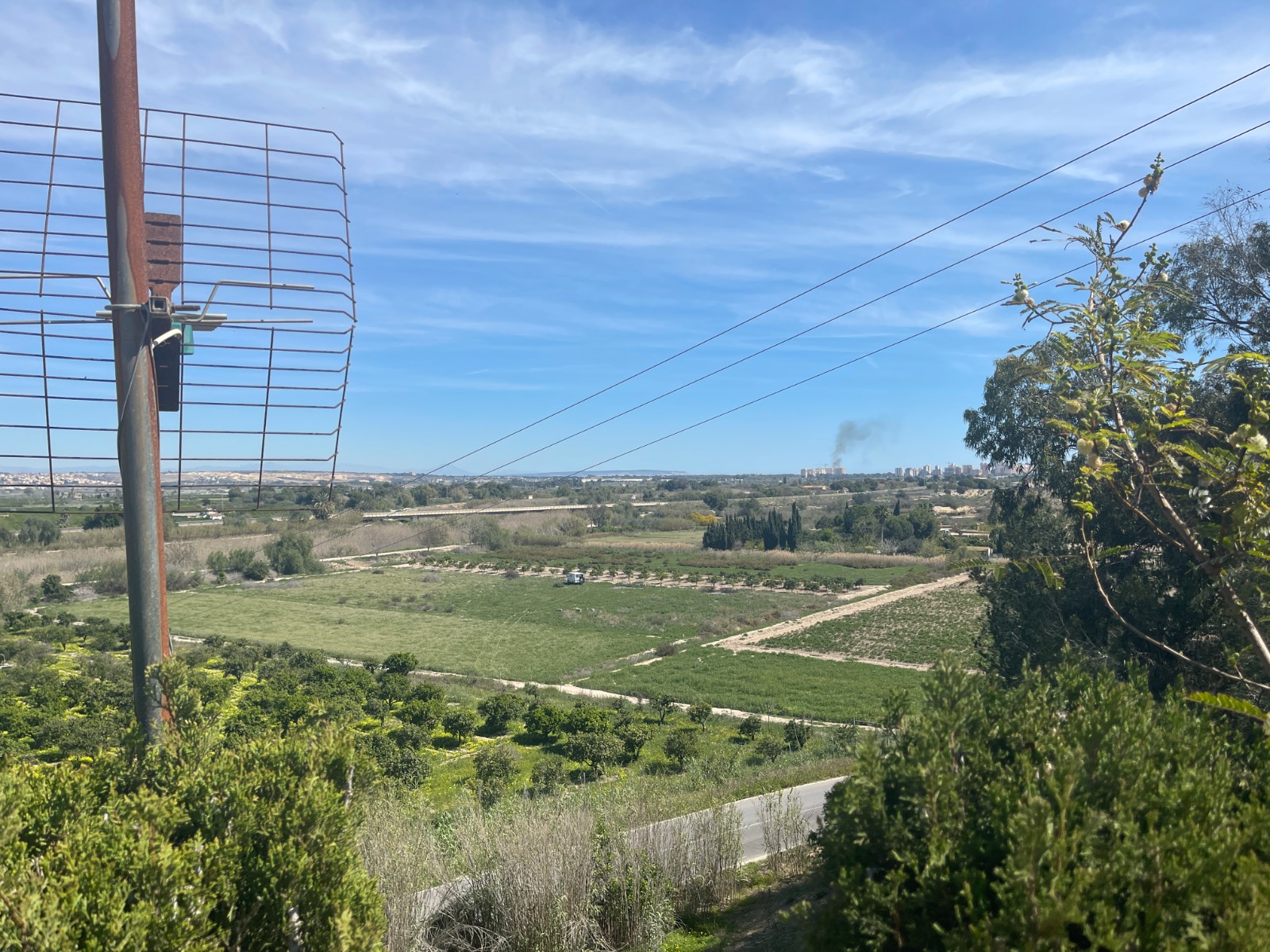 Garden in villa for sale in Guardamar del Segura