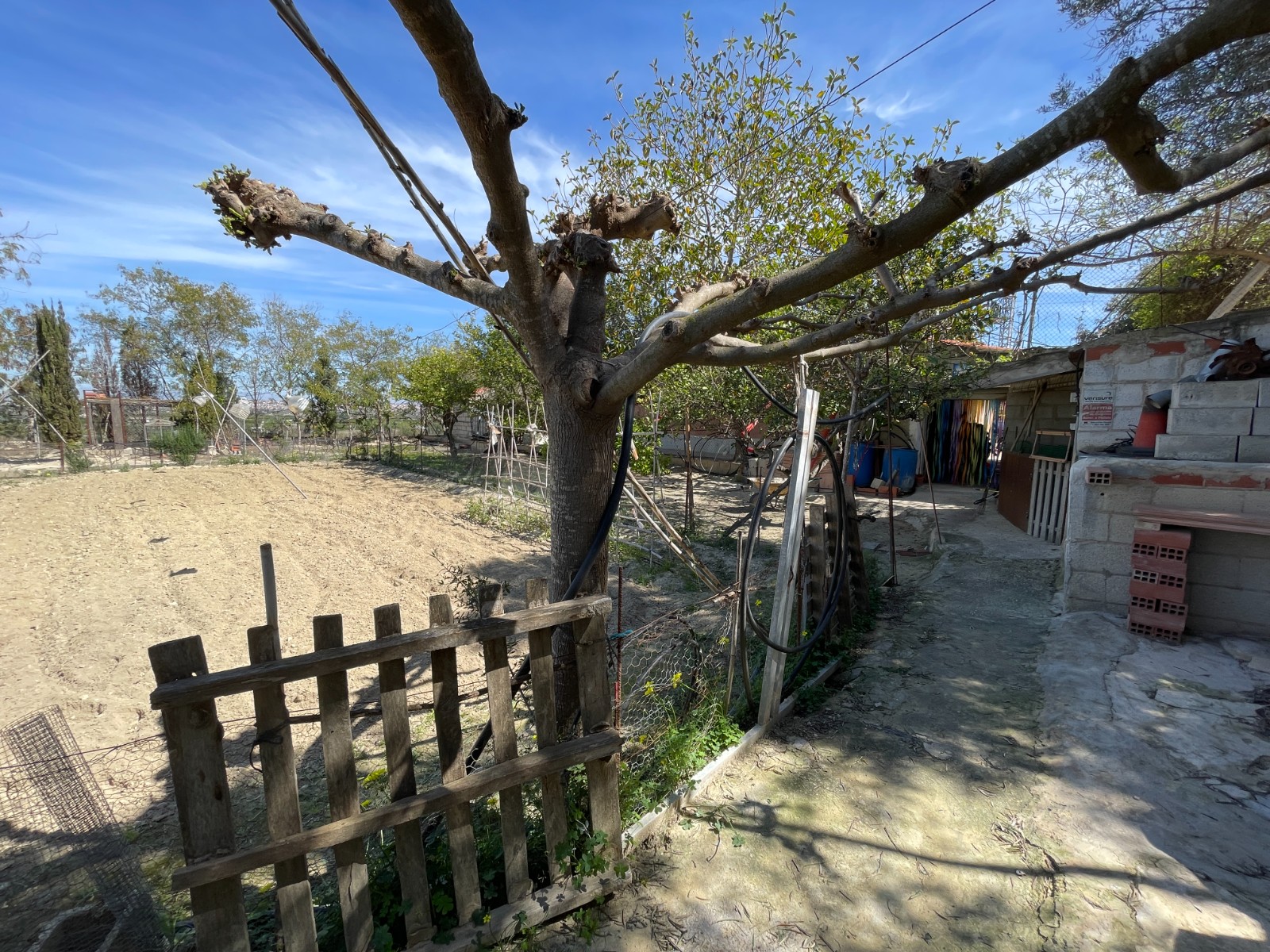 Terrace in villa for sale in Guardamar del Segura
