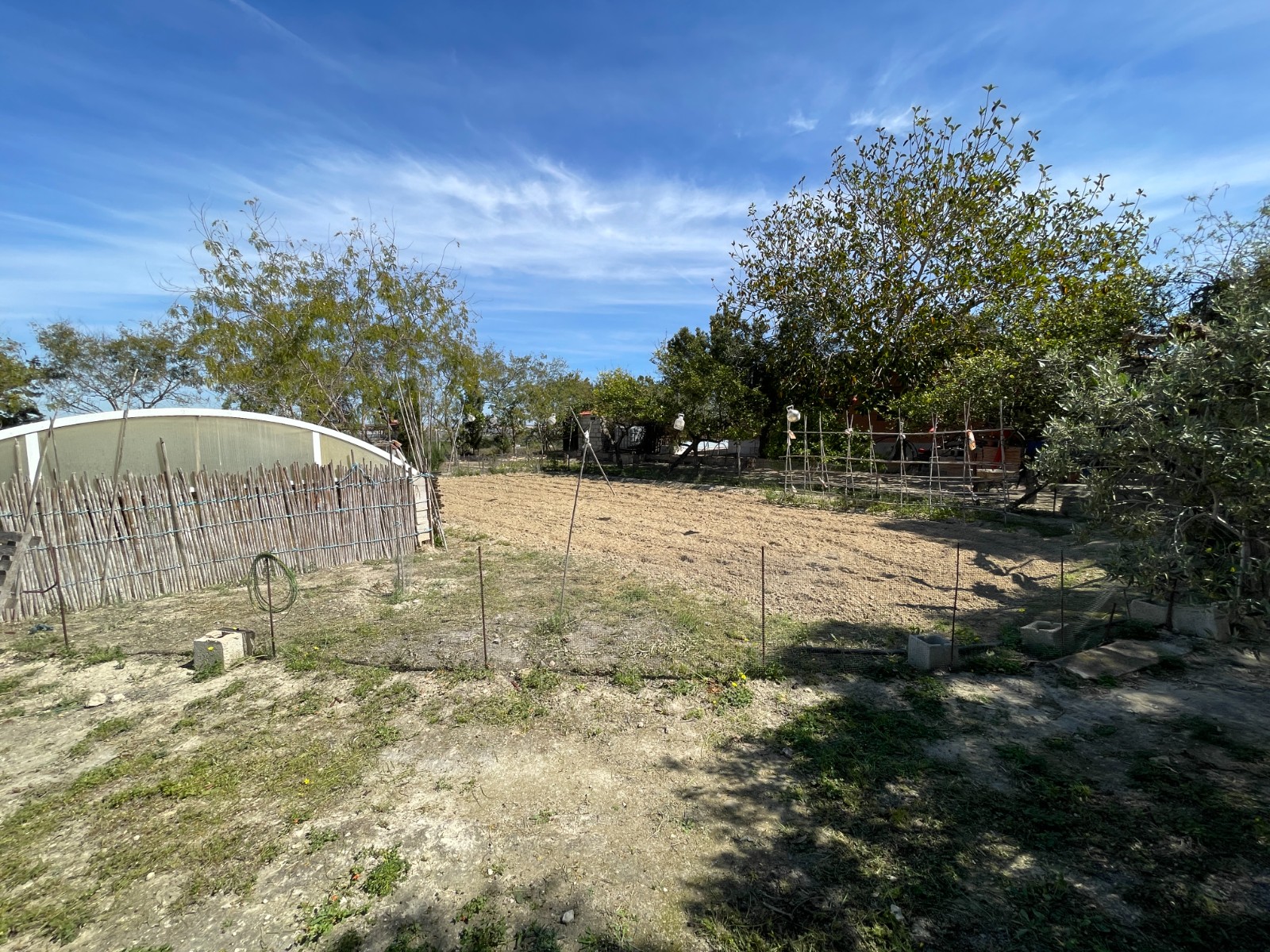 Garden in villa for sale in Guardamar del Segura
