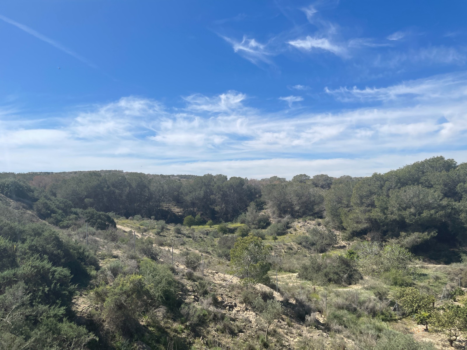 Terrace in villa for sale in Guardamar del Segura