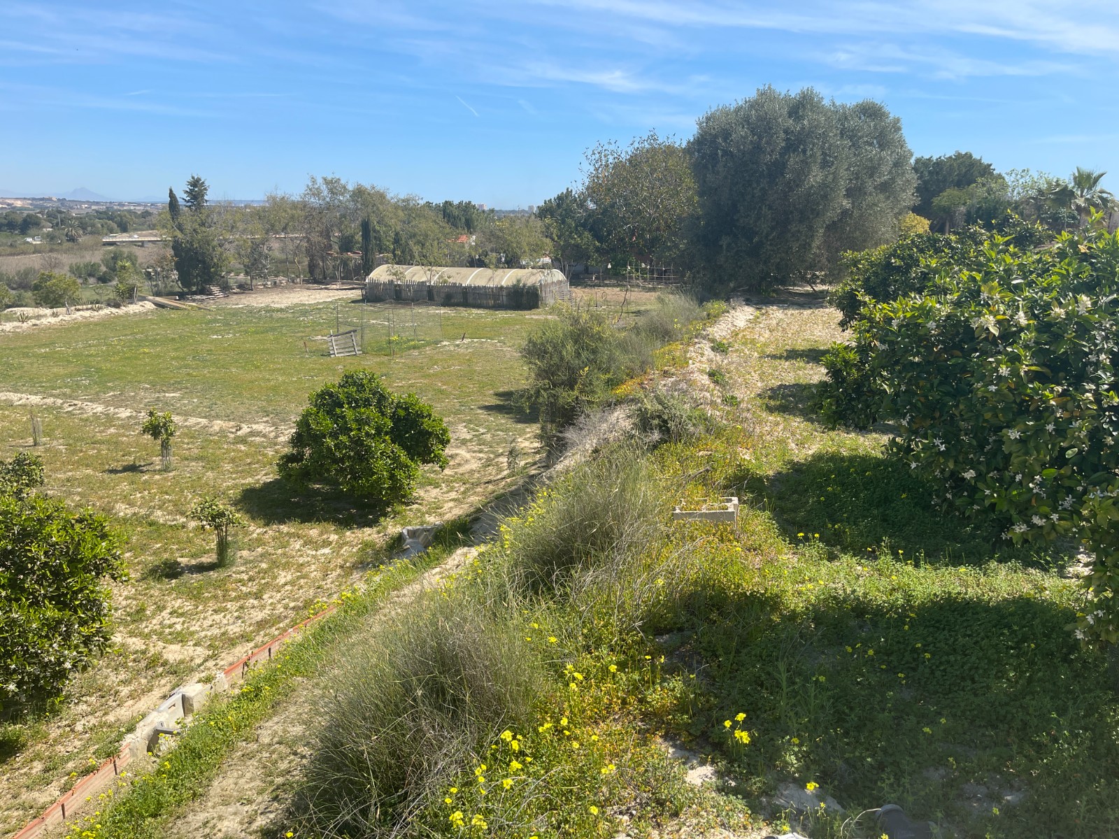 Garden in villa for sale in Guardamar del Segura