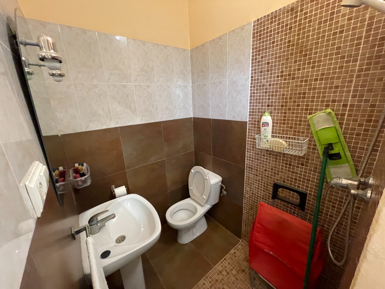 Exterior view in villa for sale in Crevillent